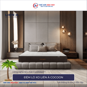 Đệm lò xo túi Liên Á COCOON